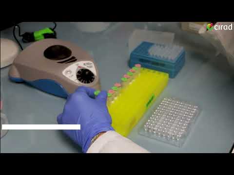 ELISA tutorial: serological diagnosis of animal trypanosomiasis