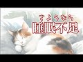 【睡眠を見直す】睡眠の質と量はどれくらい必要なのか？