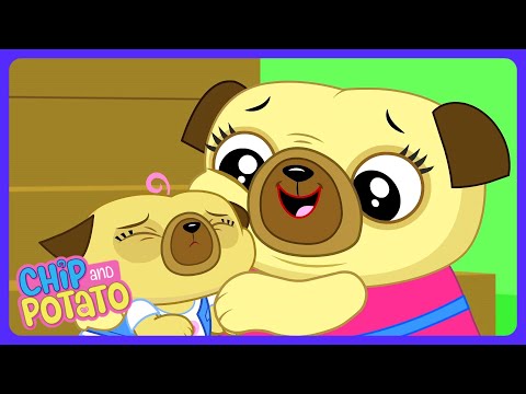 Chip and Potato - Chip's Big Piano Exam! 🎹 | Kids Cartoons | WildBrain Learning Lab