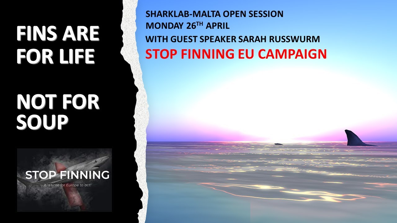 Stop Finning EU - Sharklab Malta Open Session