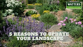 5 Reasons to Update Your Landscape by SignalsAZ 79 views 4 weeks ago 10 minutes, 45 seconds