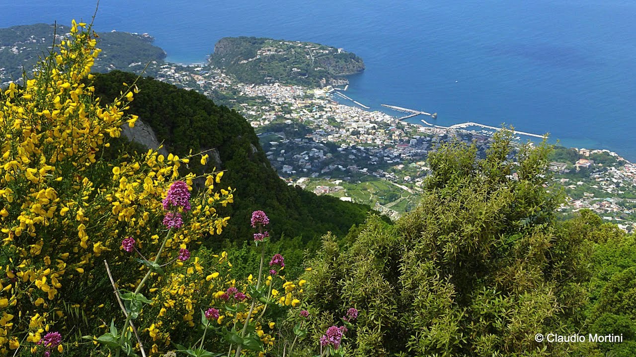 ISCHIA - MONTE EPOMEO - LA BAIA DI SORGETO  HD