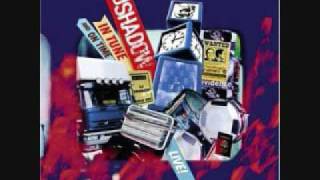 Holy Calamity Bear Witness pt 2 - DJ Shadow