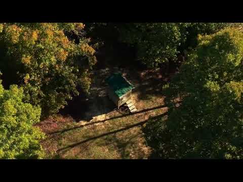 NEW LSITING 60+/- acres Butler County,KY