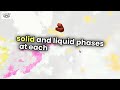 How Biomedical Engineering Students Can Determine Phase Fraction Using Lever Rule in a Phase Diagram