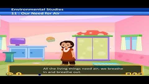 11.our need for air | 3rd environmental studies