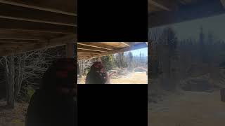 Mossberg 500 20 gauage #viral #hunting #fyp