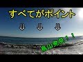太平洋にルアーをなげてみたら・・・