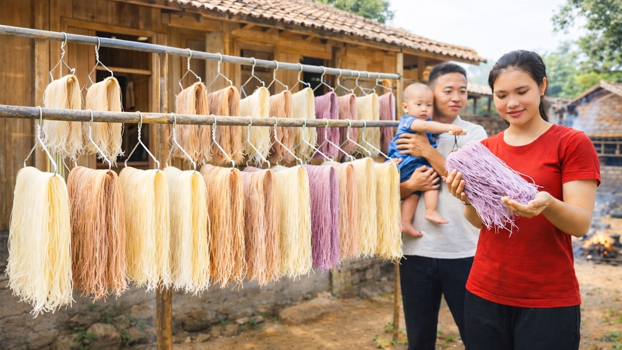 Proceso de fideos secos multicolores con ingredientes naturale | Cosecha de jengibre para el mercado