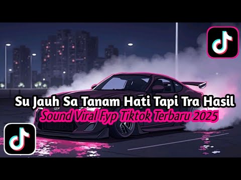 DJ SU JAUH