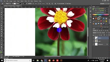 Adobe Photoshop Bangla Tutorial Pen Tools, Shapes, Type Tools - Class #09