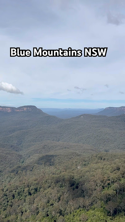 Dramatic landscapes & the ethereal blue haze of the forrest #bluemountainsaustralia #newsouthwales