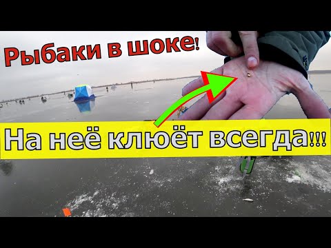 НА НЕЁ КЛЮЁТ
