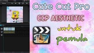 Tutorial CCP aesthetic untuk 'PEMULA'