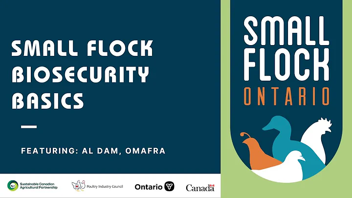 Small Flock Biosecurity Basics