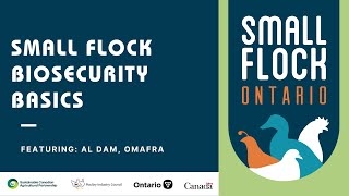 Small Flock Biosecurity Basics
