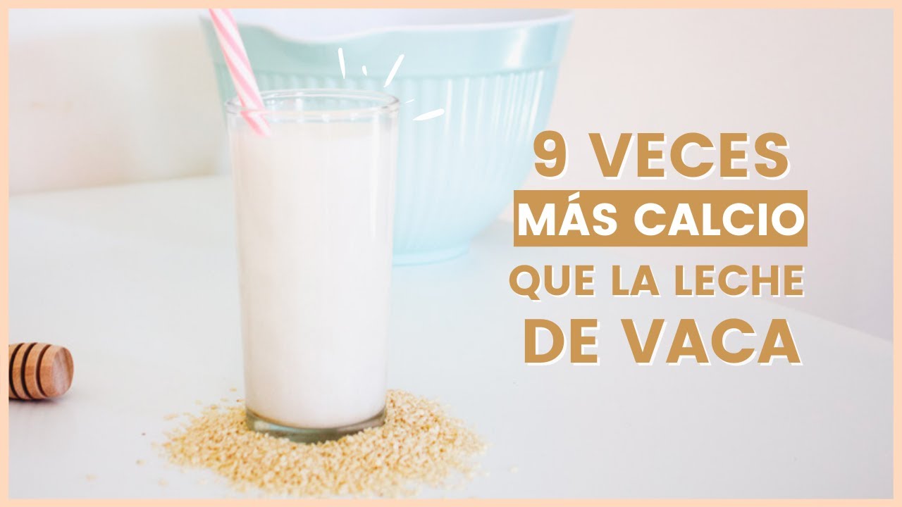 ✓ Cómo hacer LECHE DE SÉSAMO O AJONJOLÍ casera ? Receta Fácil | Leches  Vegetales - YouTube