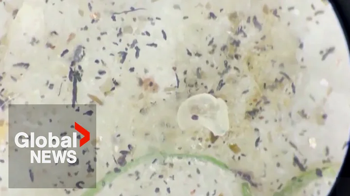 New study reveals the dangers of inhaling microplastics - DayDayNews