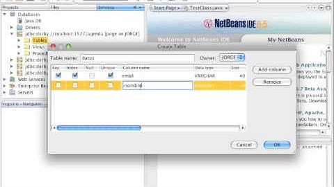 Cómo crear una tabla en una base de datos en Derby utilizando NetBeans 6.5