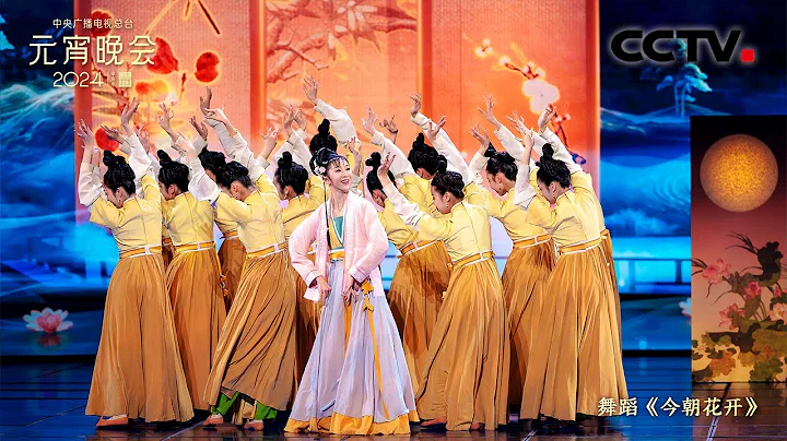 取材于宋代插花艺术 舞蹈《今朝花开》古色古香 「2024央视元宵晚会」| CCTV春晚 - 天天要闻