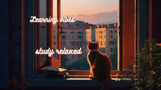 Lofi Learning / Study Music / Focus Music