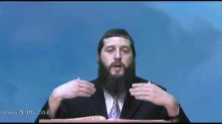 הדף היומי - מסכת עירובין דף פ"ז