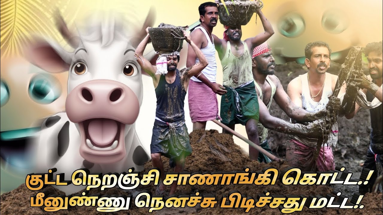 சாணாங்கி வெகளங்கள்🤣😜|mrkottu|kkselvan|jegatheeshjj|vegalankal