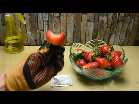 Video: Meristemkultur Und Anschließende Mikropropagation Von Chilenischen Erdbeeren (Fragaria Chiloensis (L.) Duch.)