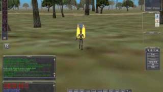 Everquest Classic - Druid Kiting a Griffawn in East Karana Project 1999