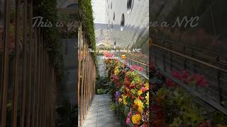 NYC Staycation! Dream Beach at Dream Downtown #staycation #nyc #thingstodoinnyc #travel #nycvlog