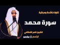 سورة محمد تلاوة خاشعة ومبكية للشيخ ناصر القطامي 