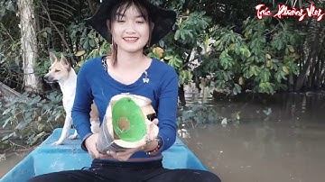 Đẳng Cấp Miền Tây Chế Tạo Bẫy Cá Hiệu Quả Cao | Thôn Nữ Bắt Cá Bằng Vũ Khí Dừa Nước-Trúc Phương Vlog