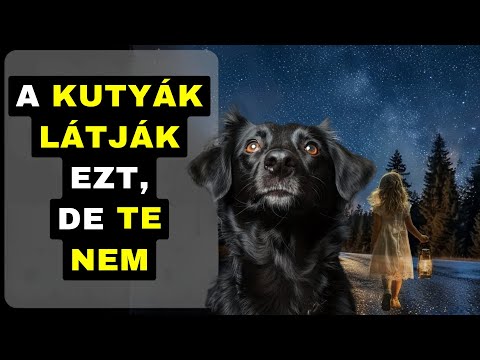 Sose tartsd ezt a tárgyat a HÁZADBAN – GONOSZ SZELLEMEKET vonz