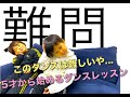 ダンスなんてもうきらい。。5才ができなかったダンスレッスン♪
