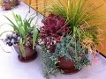 How to Use Pots in Landscape Design