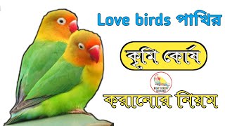 Love birds deworming tips || লাভবার্ড পাখির পাখির কৃমি কোর্ষ করানোর সঠিক নিয়ম