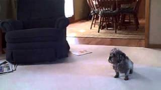 Failure To Communicate