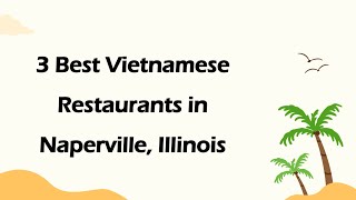 3 Best Vietnamese Restaurants in Naperville, Illinois | Vietnamese Cuisine