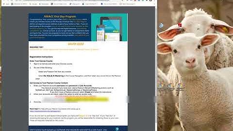 Having Trouble Registering in MyMathLab in Canvas?