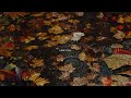Leaf Fall By VRTEI SAGI mp3