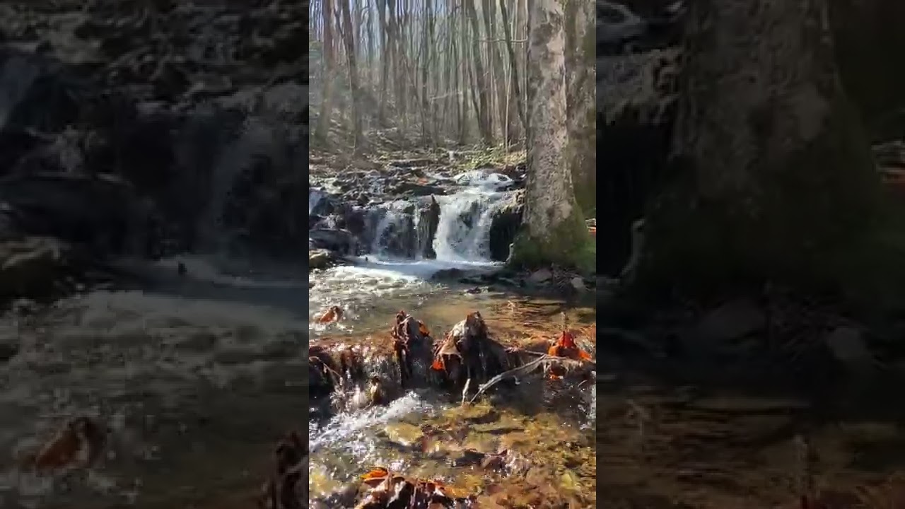 Creek Sounds - North Georgia Mountains