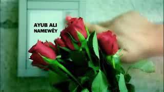 ايوب علي نامةويتAywb Ali Namawey