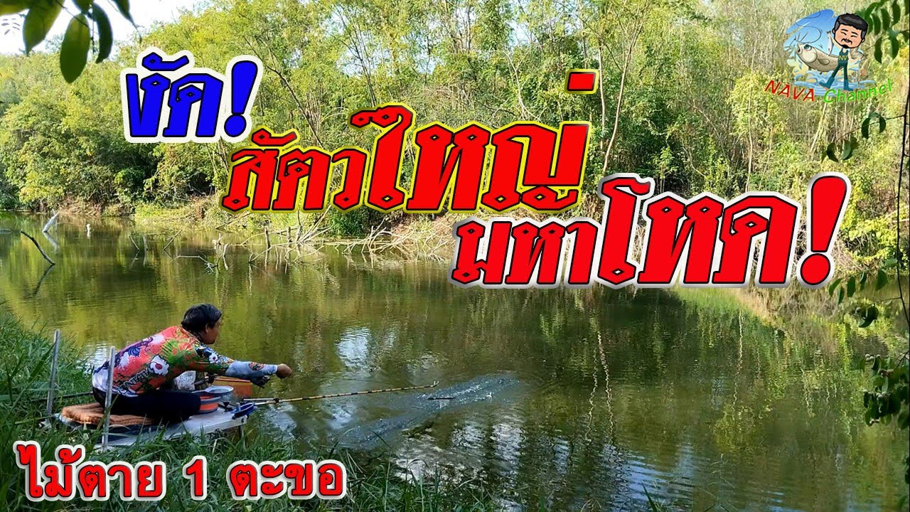 EP103 ตกปลาหมายธรรมชาติ ตกชิงหลิวคลองสาขาแม่น้ำป่าสัก จ.ลพบุรี 