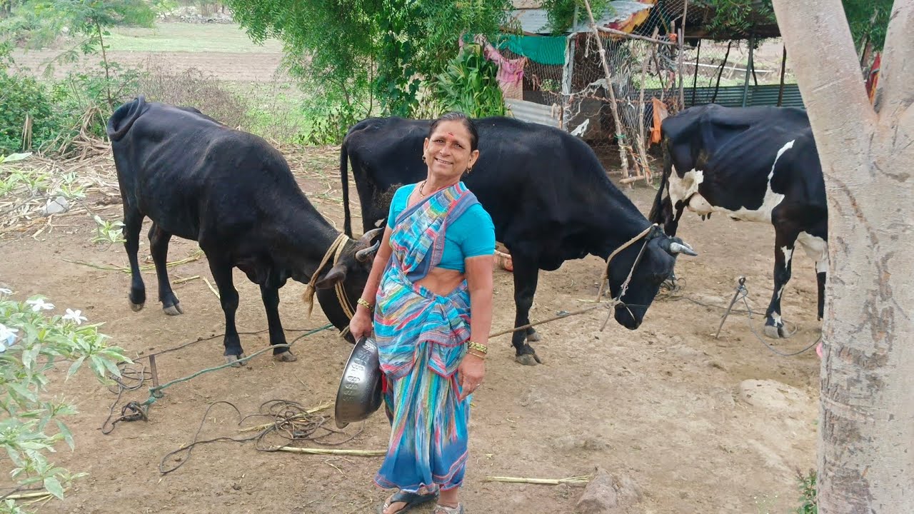 रात्री काय झालं