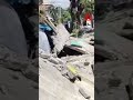 Powerful 7.8-Magnitude Earthquake Hits Philippines, Causing Widespread Damage