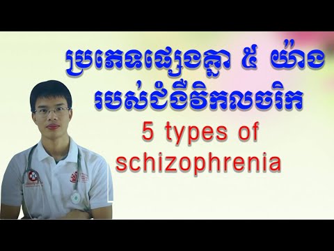 ប្រភេទផ្សេងគ្នា ៥ យ៉ាង របស់ជំងឺវិកលចរិក, 5 types of schizophrenia