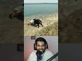 Playing as dog in GTA 5 😂