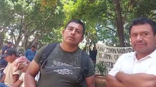 Se planta San Juan Guivini, Ozolotepec frente a Palacio de Gobierno