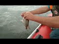 ЛОВЛЯ ЛЕЩА НА СНАСТЬ БАНКА. КАК ЛОВИТЬ ЛЕЩА НА СНАСТЬ БАНКА.
