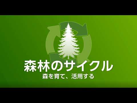 【都市の木質化】森林のサイクル